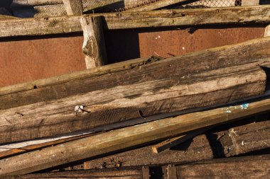 Arka bahçede eski ahşap yapı malzemeleri var.