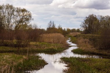 Nehirli resimli bir manzara manzarası. Nehir yatağını gören bahar manzarası. Fazla gelişmiş kıyılar.