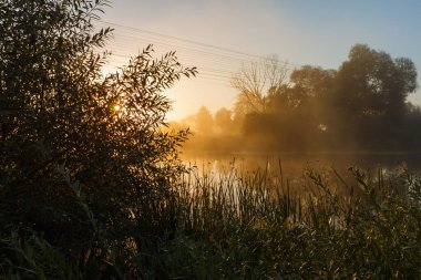 Güneşin doğuşu sisli nehirde.