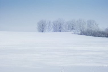 Kış, ağaçlı minimalist manzara. Arkaplan.