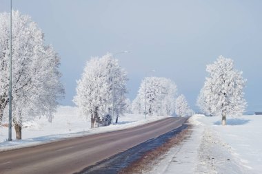 Kış yolu. Ağaçlarda buz var. Peyzaj.
