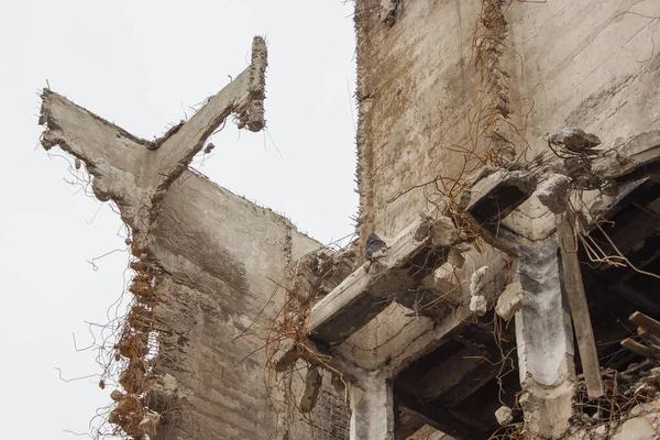 Construção Industrial Destruída Fragmento — Fotografia de Stock