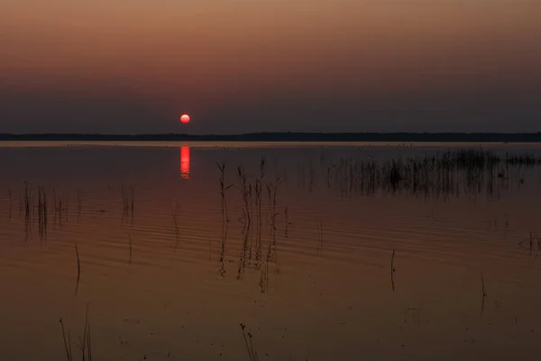 Zachód Słońca Nad Jeziorem Wieczorne Niebo Pięknymi Chmurami Odbija Się — Zdjęcie stockowe