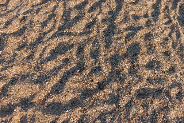 Plážový Písek Mořské Mušle Motiv Moře — Stock fotografie