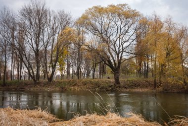 Autumn river.Thick fog over the river. Autumn landscape. Lutsk, Ukraine