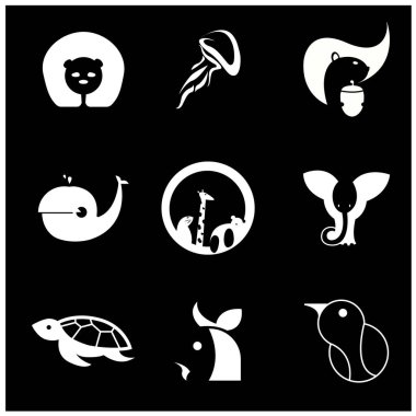 Kaplumbağa beyazda izole.