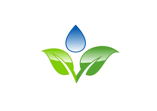 Σταγόνα νερό, φύλλα, λογότυπο, φύση, άνοιξη, οικολογία σύμβολο εικονίδιο διανυσματική σχεδίαση — Διανυσματικό Αρχείο