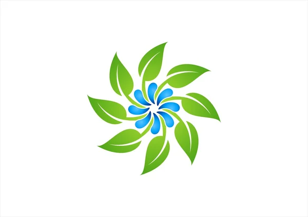 Kör levelek és vízcseppek logó, vízcseppek természet növény szimbóluma, tavaszi ikon vektor design — Stock Vector