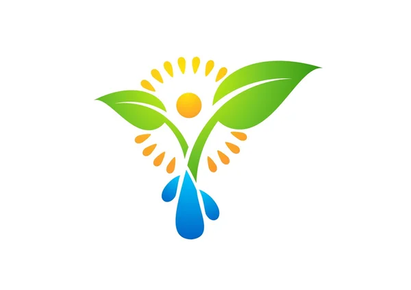 Pflanzen, Menschen, Wasser, Quelle, Natur, Logo, Sonne, Blatt, Botanik, Ökologisikone, Gesundheitssymbol — Stockvektor