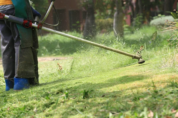 Grasmaaier werknemer snijden gras in groene veld Stockfoto