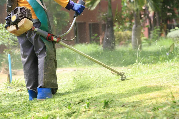 Grasmaaier werknemer snijden gras in groene veld Stockafbeelding
