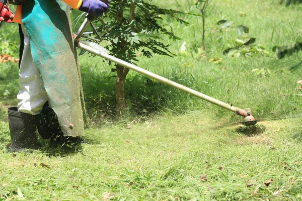 Grasmaaier werknemer snijden gras in groene veld Stockafbeelding