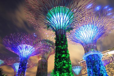 Defne Supertree Grove Singapur bahçelerle