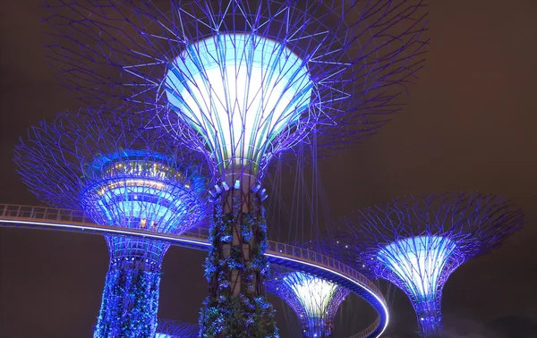 Supertree Grove Singapore — Stock Photo, Image