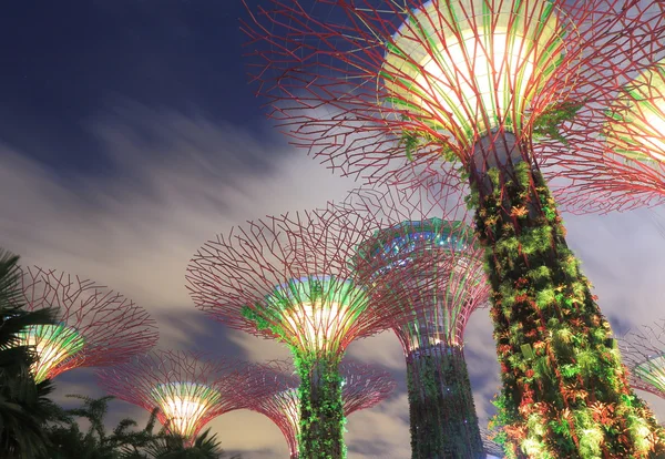 Gärten durch den Lorbeer Supertree Grove Singapore — Stockfoto