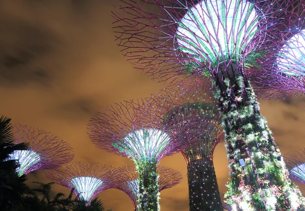 Gardens by the bay Supertree Grove Singapore — Stock Photo, Image
