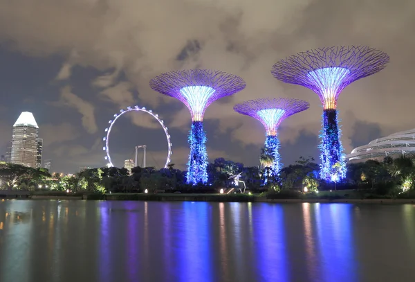 Gardens by the bay Supertree Grove and Singapore Flyer — Stock Photo, Image