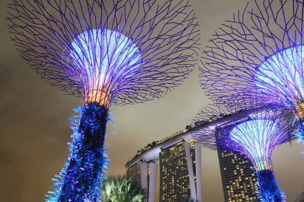 Supertree Grove and Marina Bay Sands Singapore — Stock Photo, Image