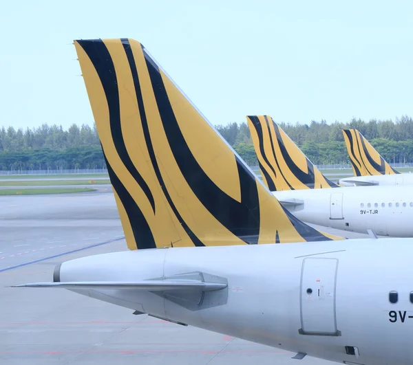 Tigerair uçak — Stok fotoğraf