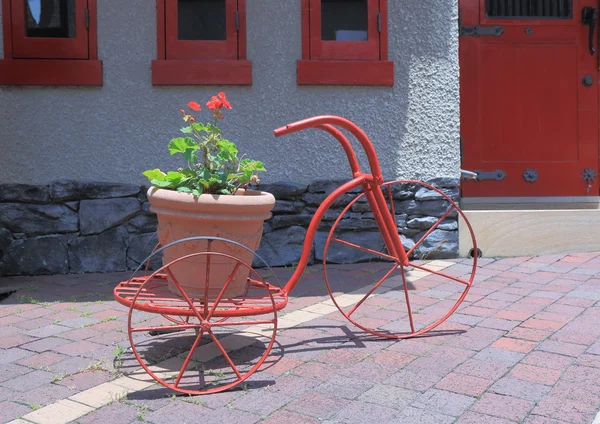 A virágcserép piros tricikli — Stock Fotó