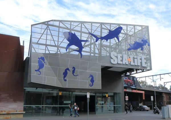 Mořský život melbourne aquarium — Stock fotografie