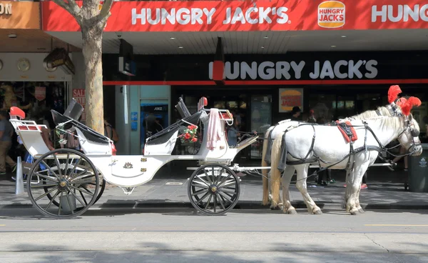 Horse carriage Melbourne — Stock Photo, Image