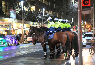 Polis memuru