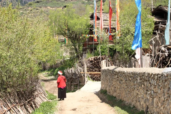 Tibetanska byn liv — Stockfoto