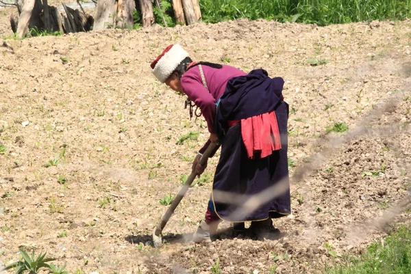 Hard werken vrouw Tibet — Stockfoto