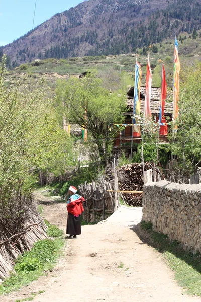 チベットの村の生活 — ストック写真