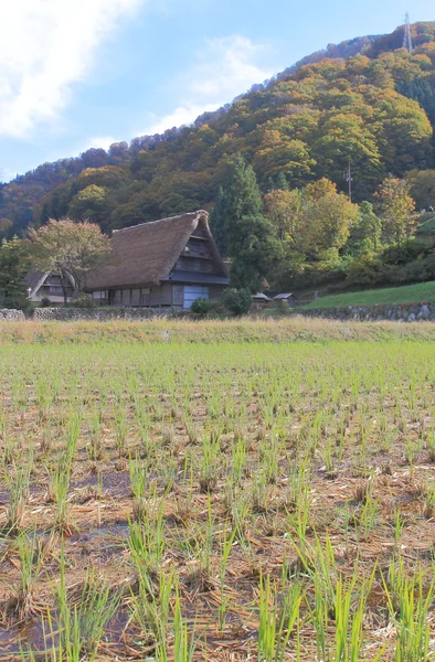 Japanse landleven — Stockfoto