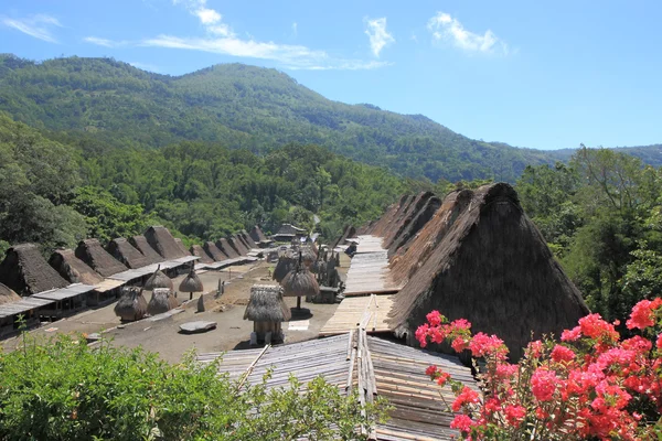 Традиционная деревня Индонезия — стоковое фото