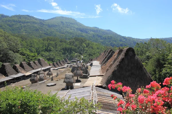 Village traditionnel Indonésie — Photo