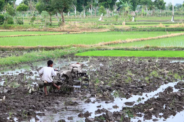 Farmer in Lombok, Indonesië — Stockfoto