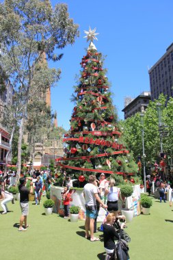 Noel ağacı yaz Melbourne
