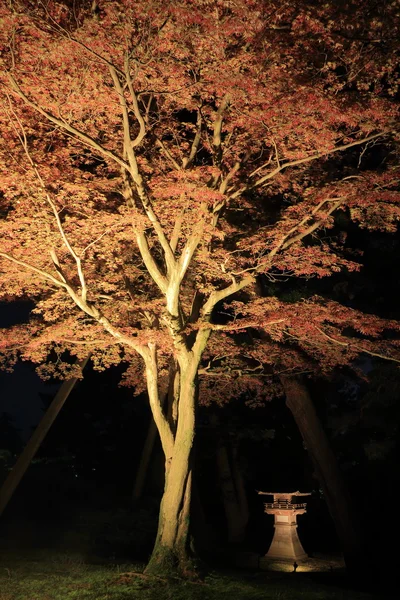 Kenrokuen Japanese garden Kanazawa — Zdjęcie stockowe