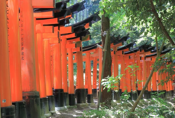 Fushimi Inari Shrine Kyoto Japan — Stock Photo, Image