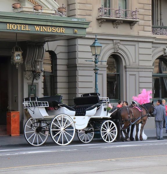 Historical building horse carriage Melbourne Australia — Stock Photo, Image