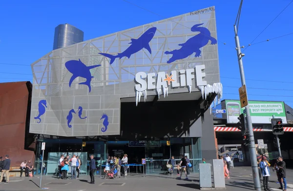 La vie marine aquarium de melbourne — Photo