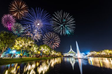 Havai fişek Suanluang Rama 9, Bangkok, Tayland gece Anayasa günü göster