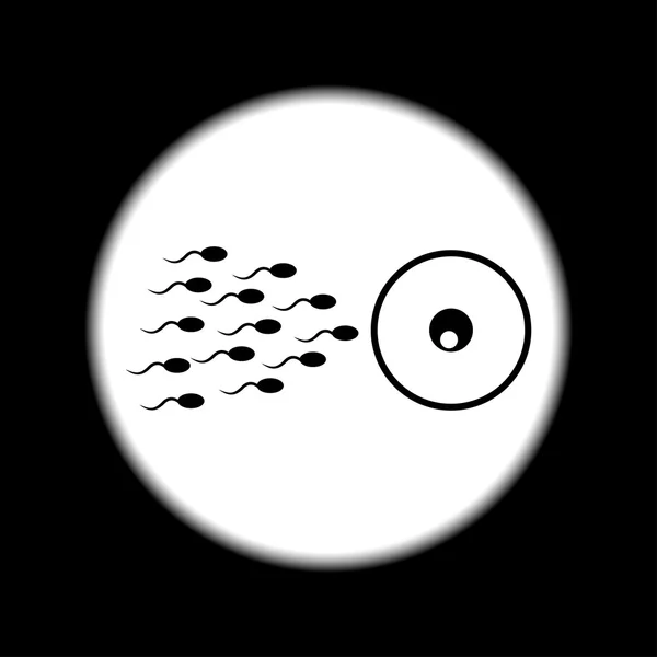 Піктограма тонкої лінії сперми та яєчних клітин — стоковий вектор
