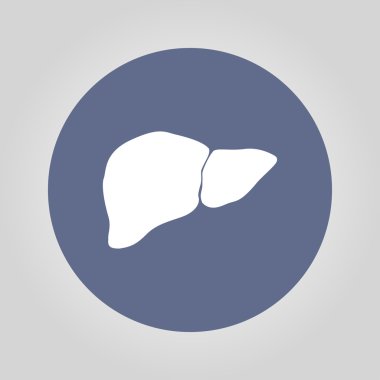 Vektör düz karaciğer simgesi