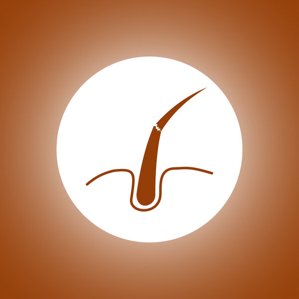 Волосы, веб-значок. векторный дизайн
