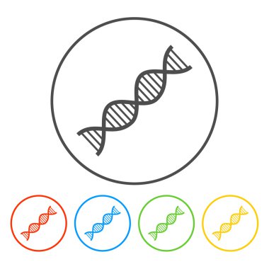 Vector DNA icon