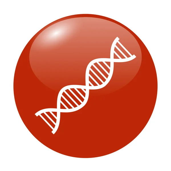 Vector DNA icon — Stock Vector