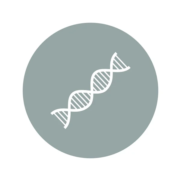 Icono de ADN vectorial — Vector de stock