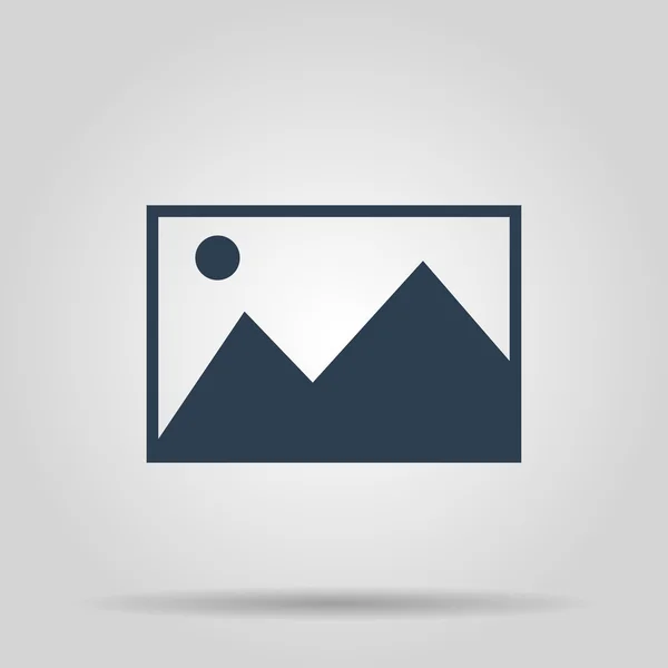 Imagen foto icono web en estilo plano — Vector de stock