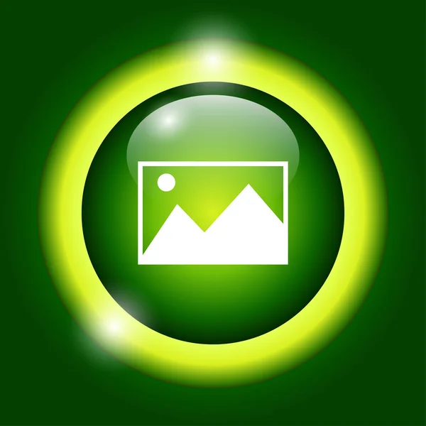 Imagen foto icono web en estilo plano — Vector de stock