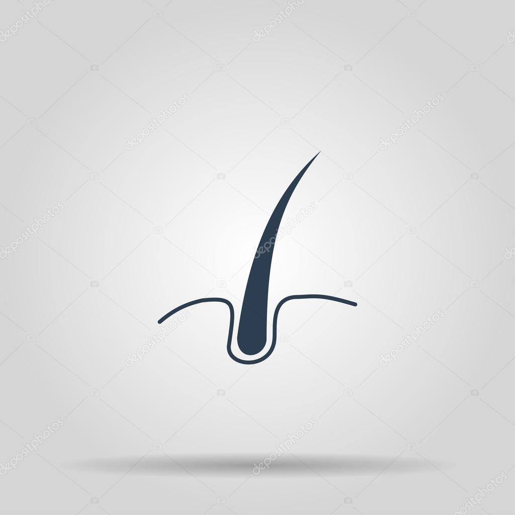 Hair  icon. Flat design style eps 10