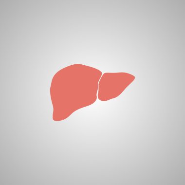 Vektör düz karaciğer simgesi